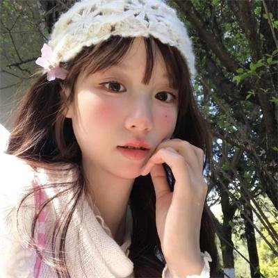 雁南飞